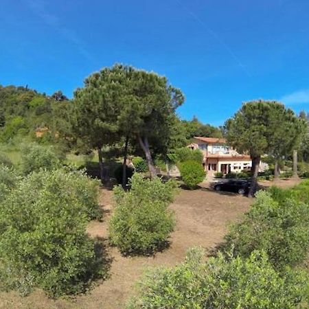 Villa Vanna Trilo -Quadrilocale Capoliveri  Bagian luar foto